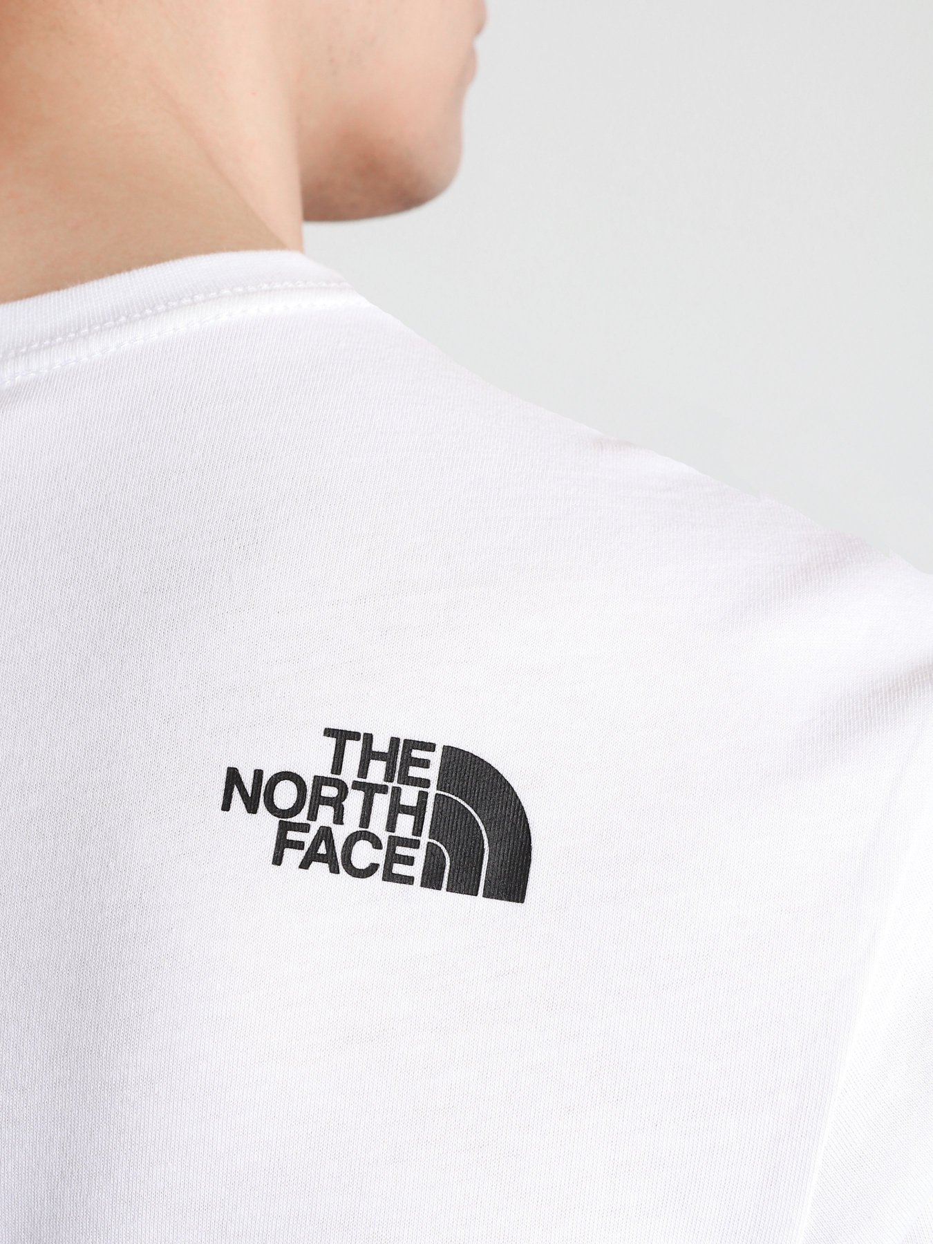 Футболки и поло The North Face Black Box SS Graphic модель NF0A557LFN41 Фото