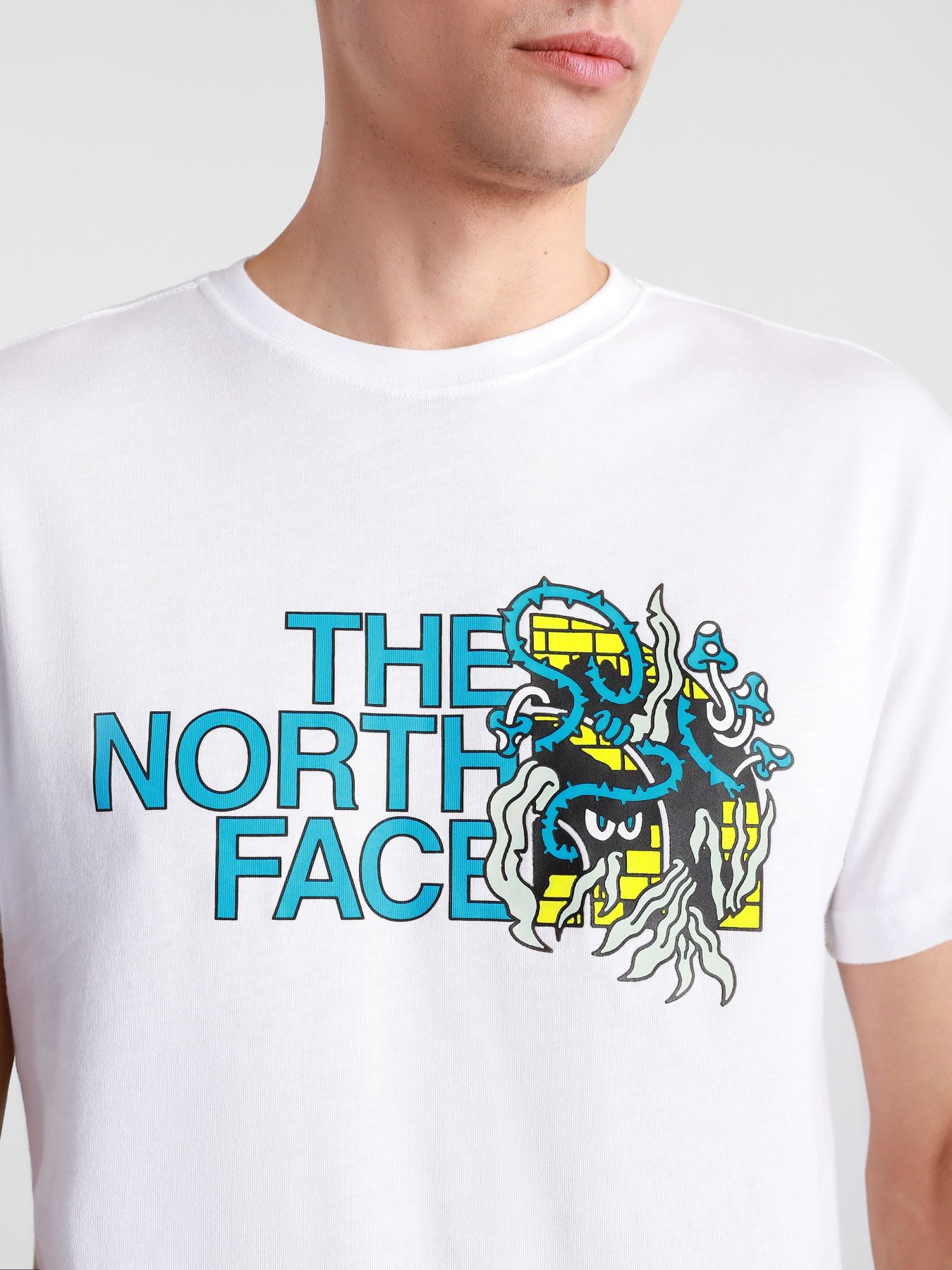 Футболки и поло The North Face Black Box SS Graphic модель NF0A557LFN41 Фото