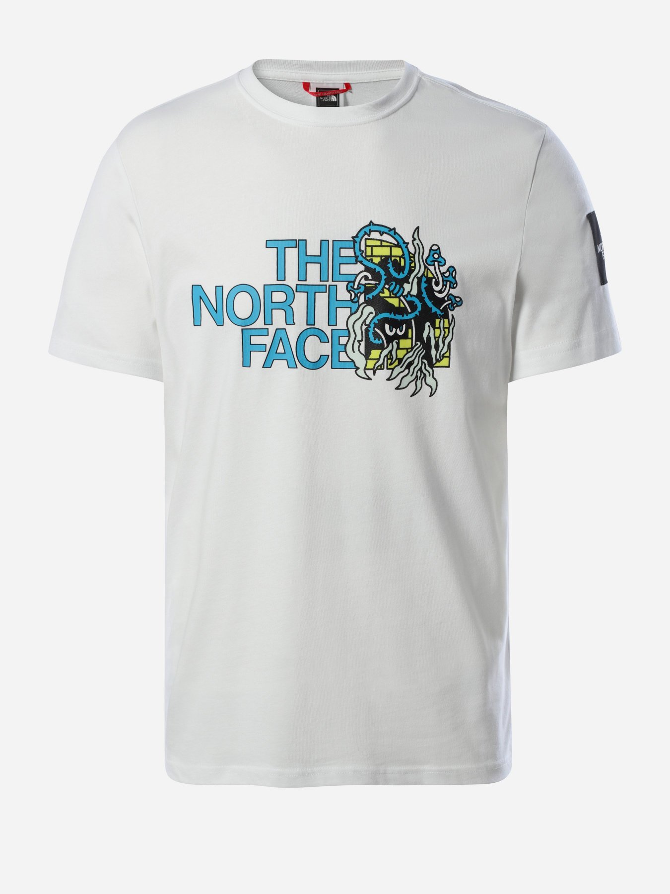 Футболки и поло The North Face Black Box SS Graphic модель NF0A557LFN41 Фото