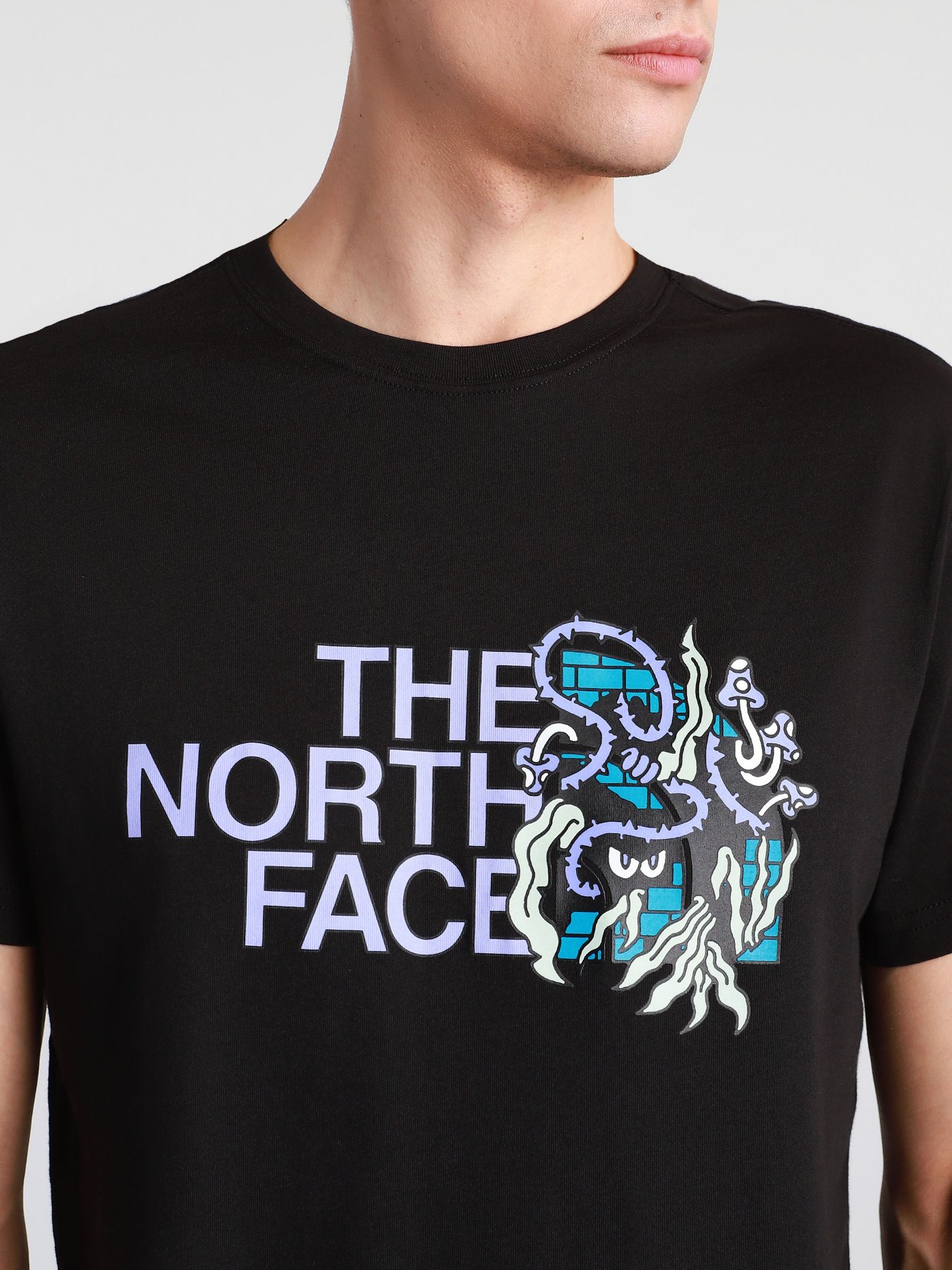 Футболки и поло The North Face  BLACK BOX SS GRAPHIC модель NF0A557LJK31 Фото