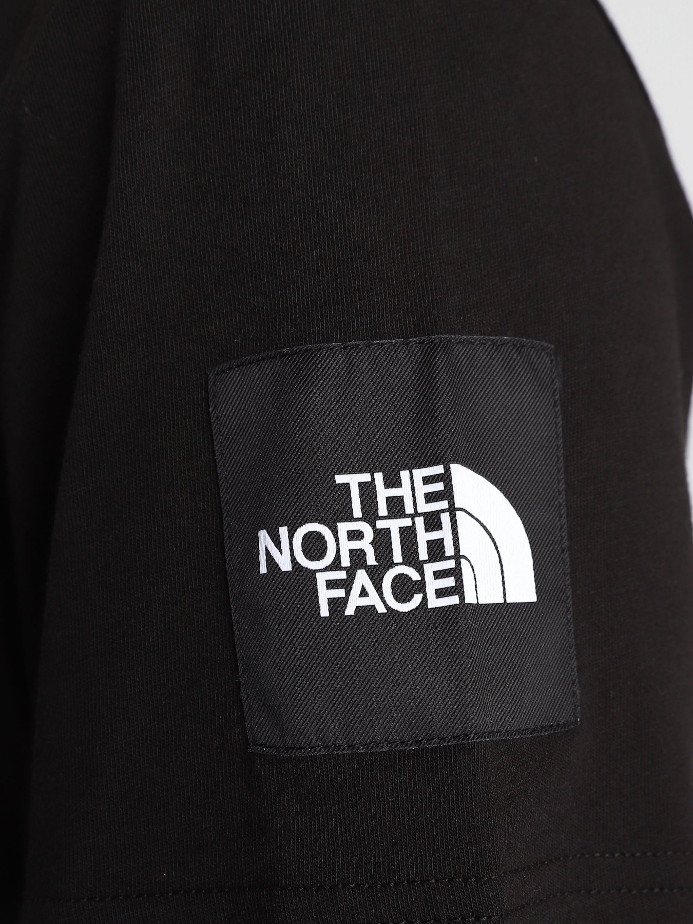 Футболки и поло The North Face  BLACK BOX SS GRAPHIC модель NF0A557LJK31 Фото