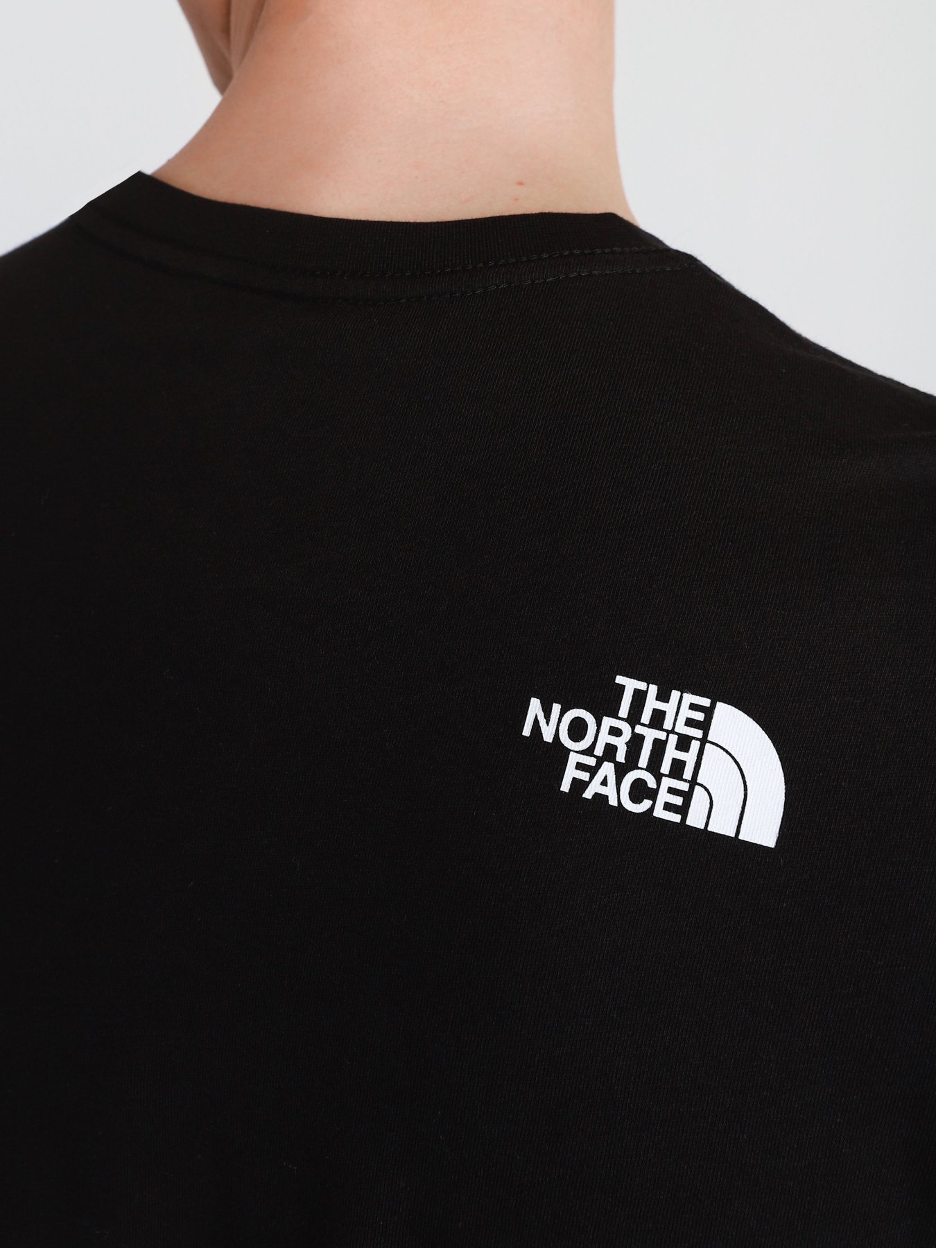 Футболки и поло The North Face  BLACK BOX SS GRAPHIC модель NF0A557LJK31 Фото