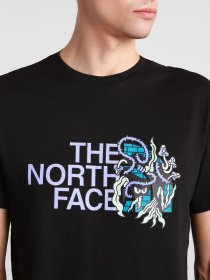 Футболки и поло The North Face  BLACK BOX SS GRAPHIC модель NF0A557LJK31 Фото