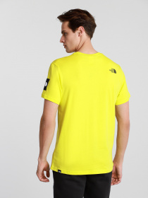 Футболки и поло The North Face BLACK BOX SS GRAPHIC модель NF0A557LJE31 Фото