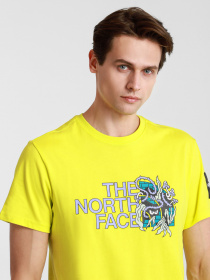 Футболки и поло The North Face BLACK BOX SS GRAPHIC модель NF0A557LJE31 Фото