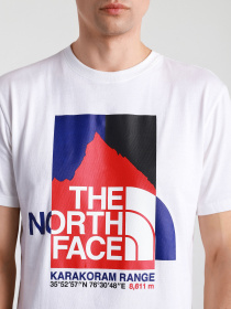 Футболки и поло The North Face Karakoram модель NF0A55ULFN41 Фото