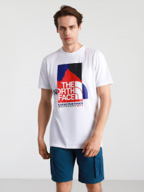 Футболки и поло The North Face Karakoram модель NF0A55ULFN41 Фото