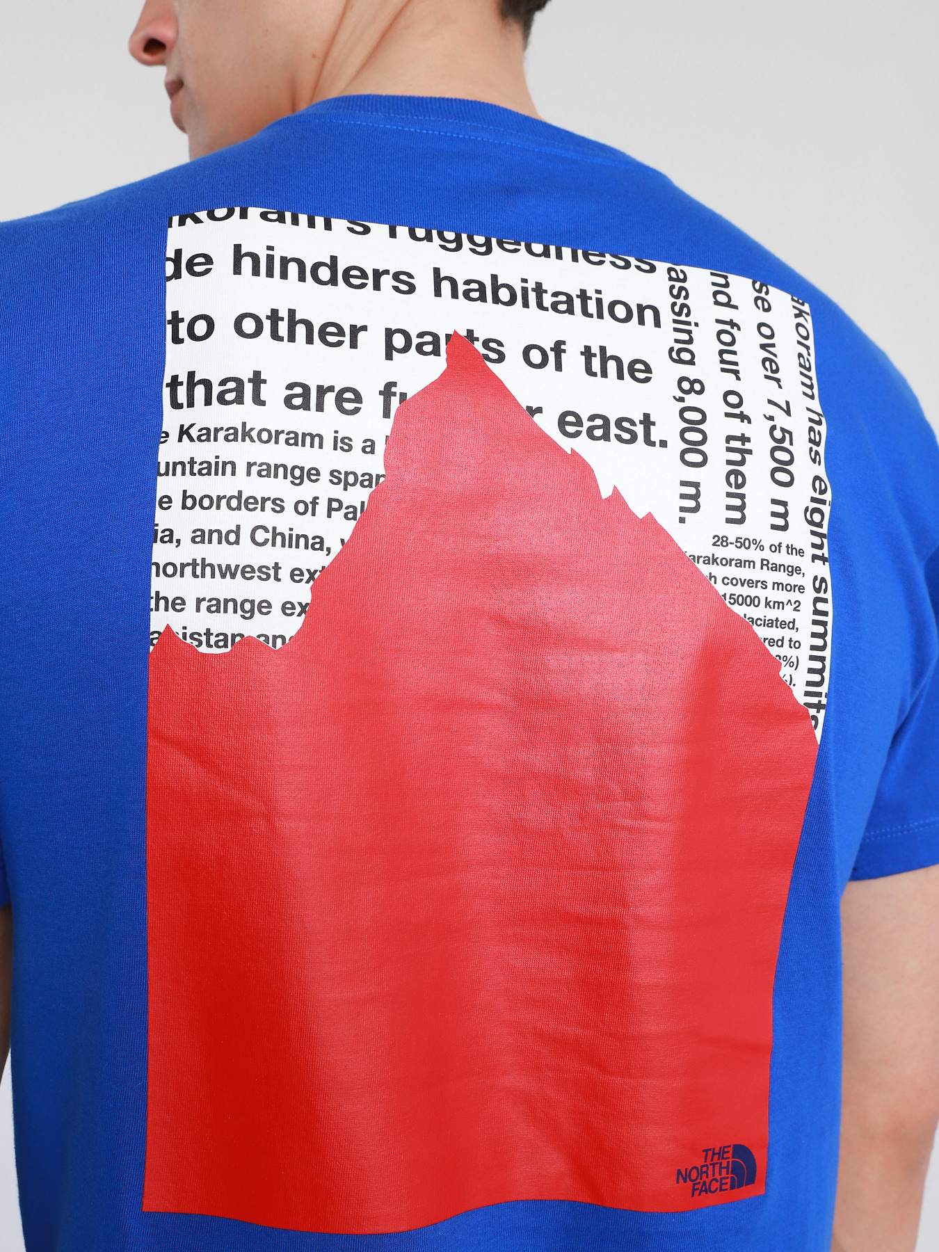 Футболка The North Face Karakoram модель NF0A55ULEU91 Фото