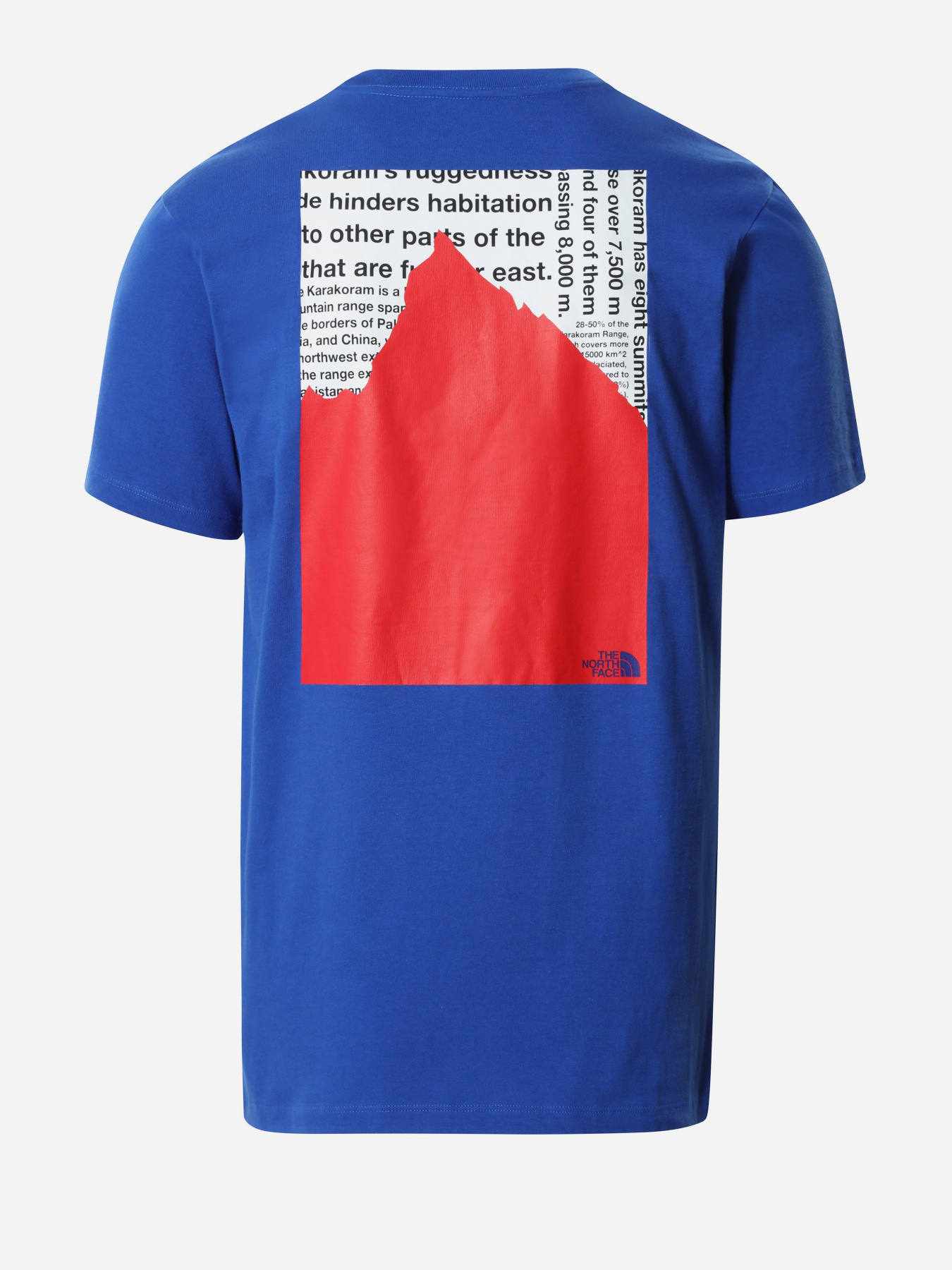 Футболка The North Face Karakoram модель NF0A55ULEU91 Фото
