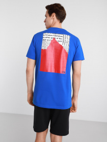 Футболка The North Face Karakoram модель NF0A55ULEU91 Фото