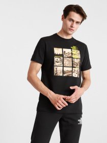 Футболки і поло The North Face BASE FALL GRAPHIC модель NF0A55TWJK31 Фото