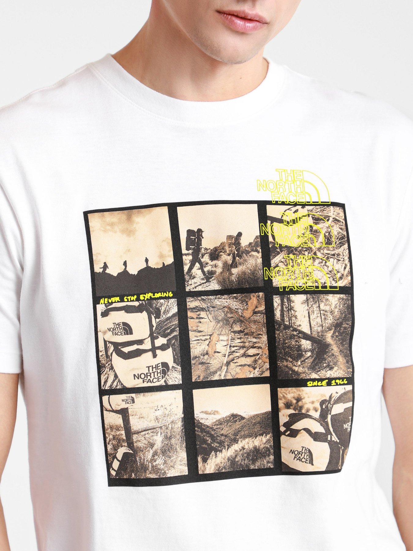 Футболки и поло The North Face BASE FALL GRAPHIC модель NF0A55TWFN41 Фото