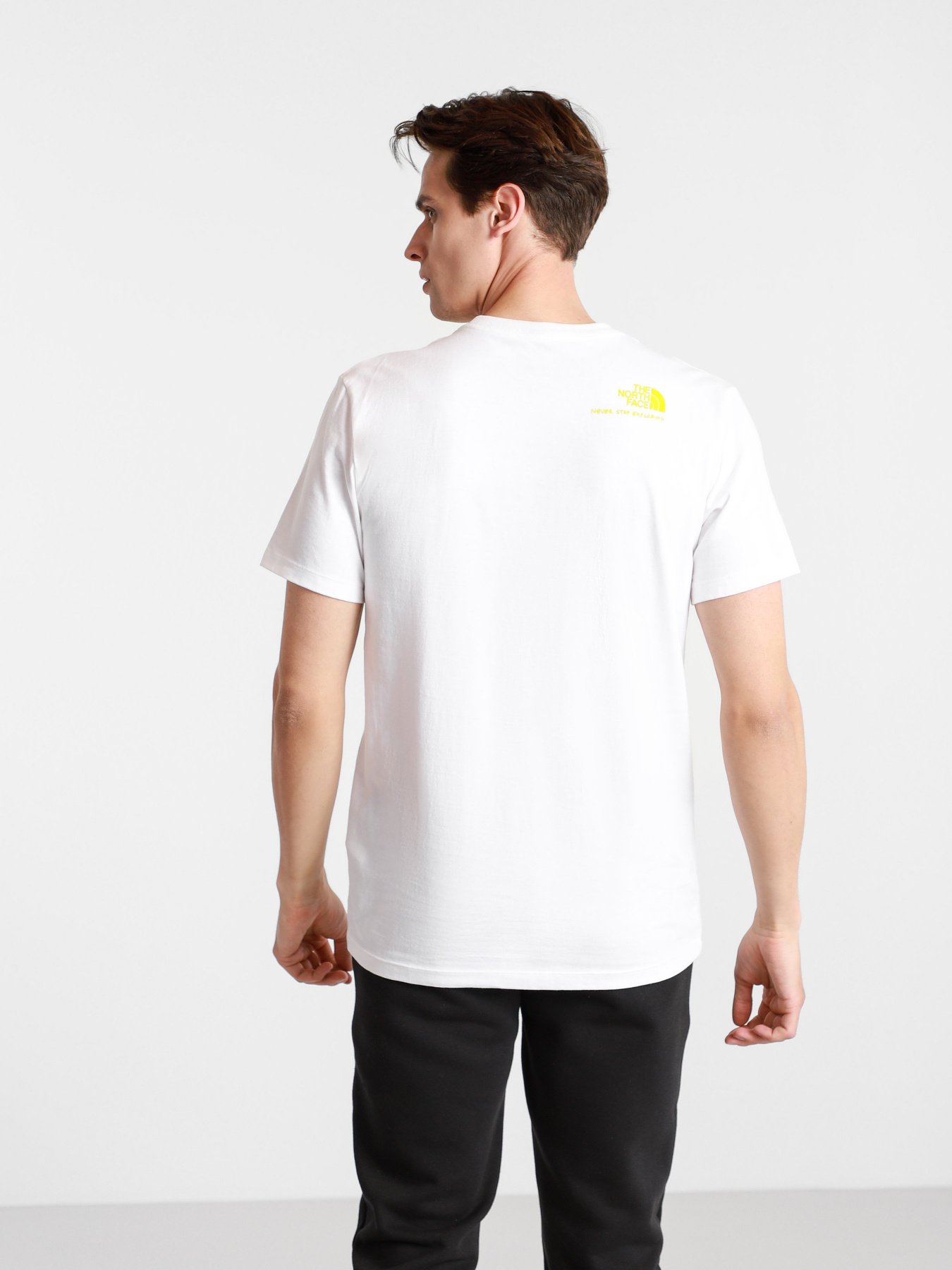 Футболки і поло The North Face BASE FALL GRAPHIC модель NF0A55TWFN41 Фото