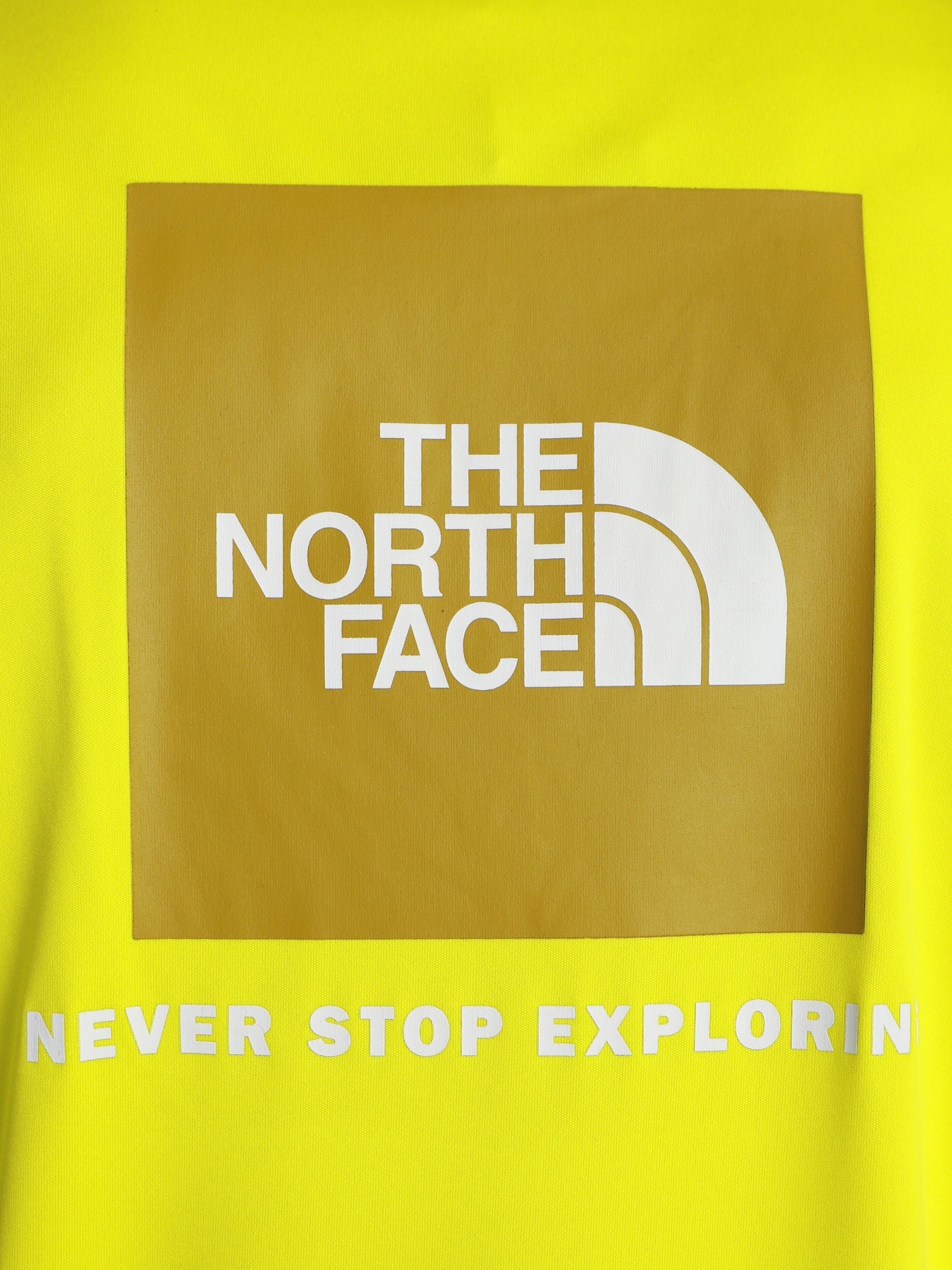 Футболки и поло The North Face Reaxion Red Box Tee модель NF0A4CDWJE31 Фото