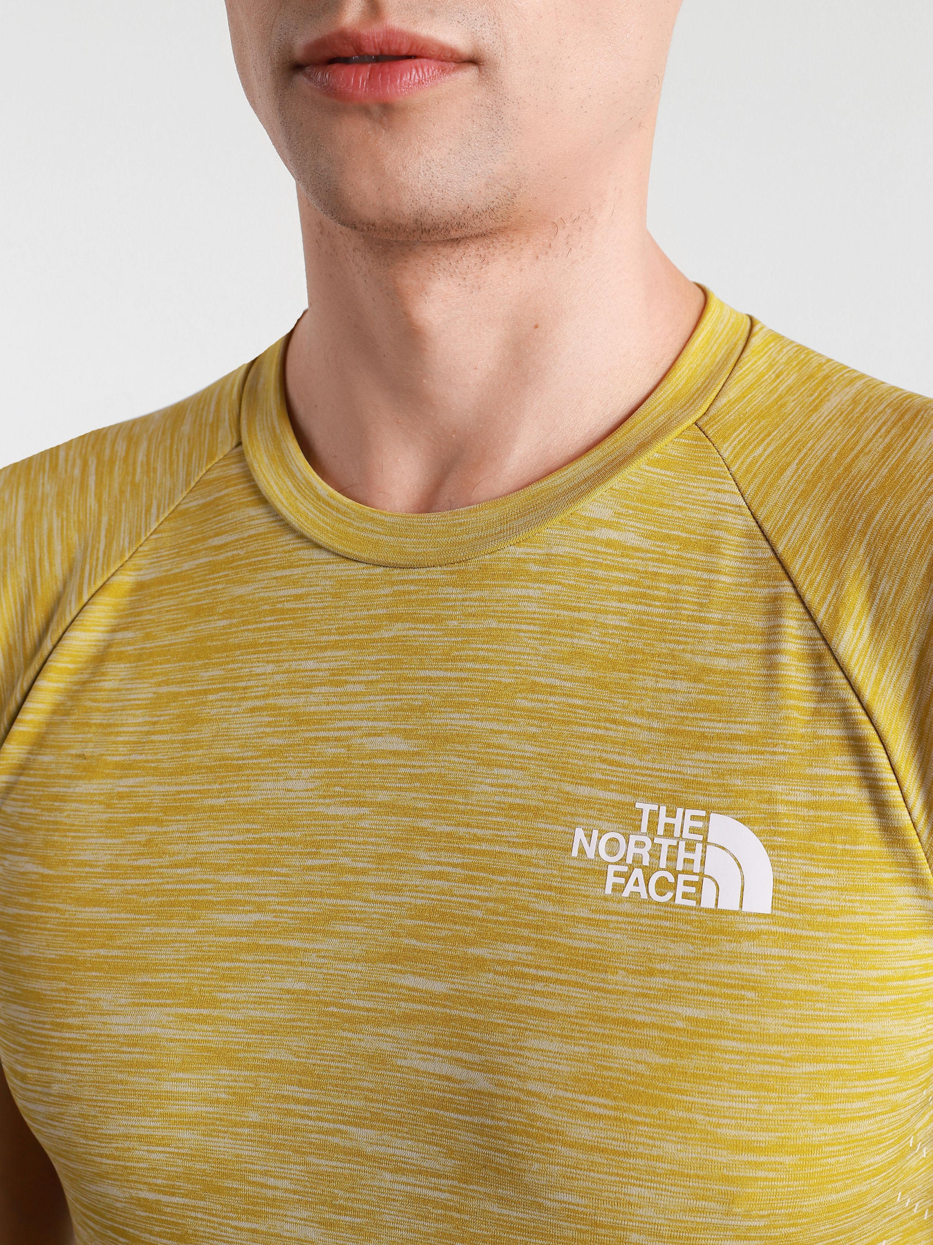 Футболка The North Face Impendor модель NF0A3S1DVQ91 Фото