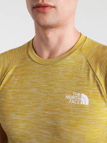 Футболка The North Face Impendor модель NF0A3S1DVQ91 Фото