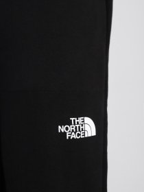 Брюки повседневные The North Face Tech Pant модель NF0A5312JK31 Фото