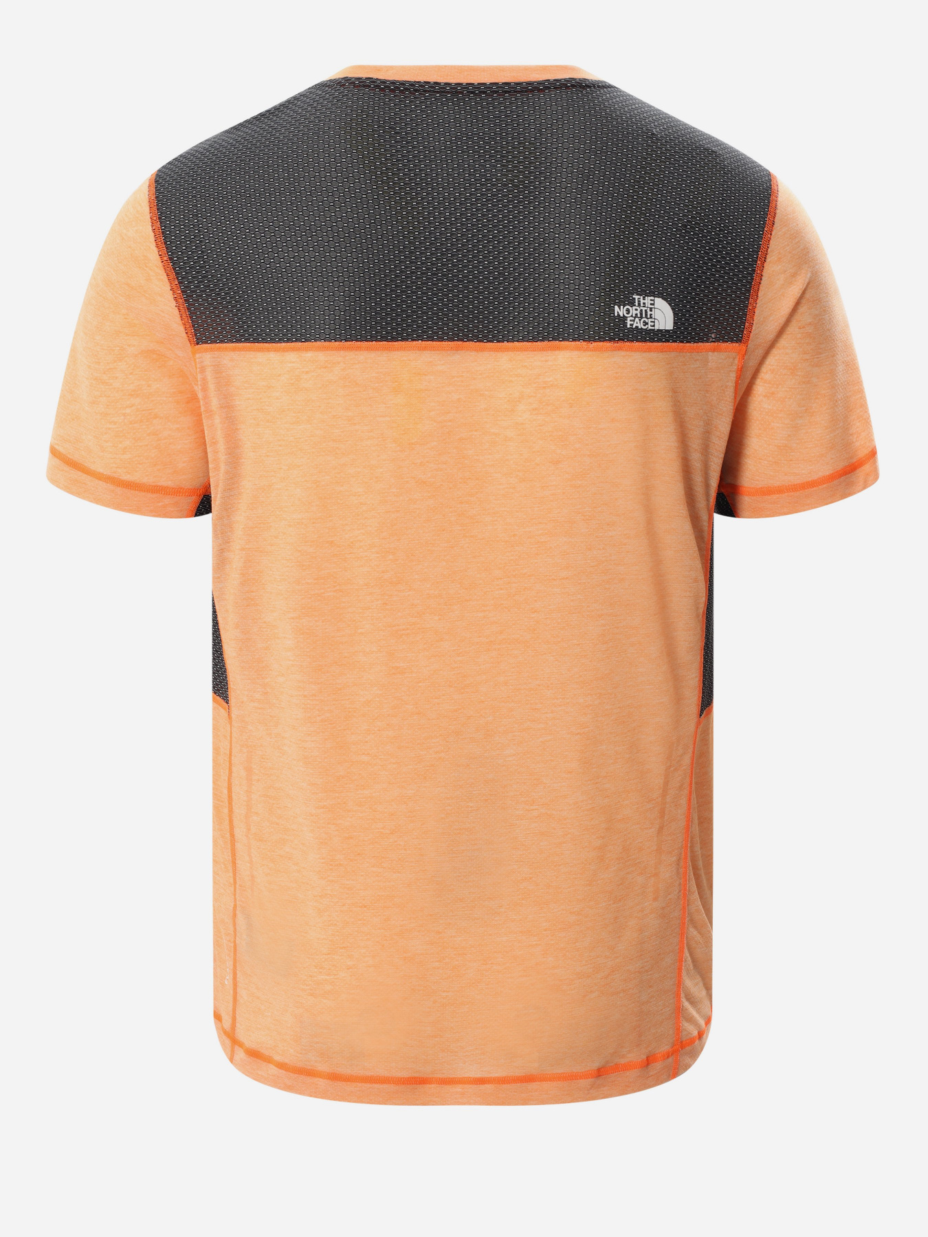 Спортивна футболка The North Face Circadian модель NF0A556TZBG1 Фото