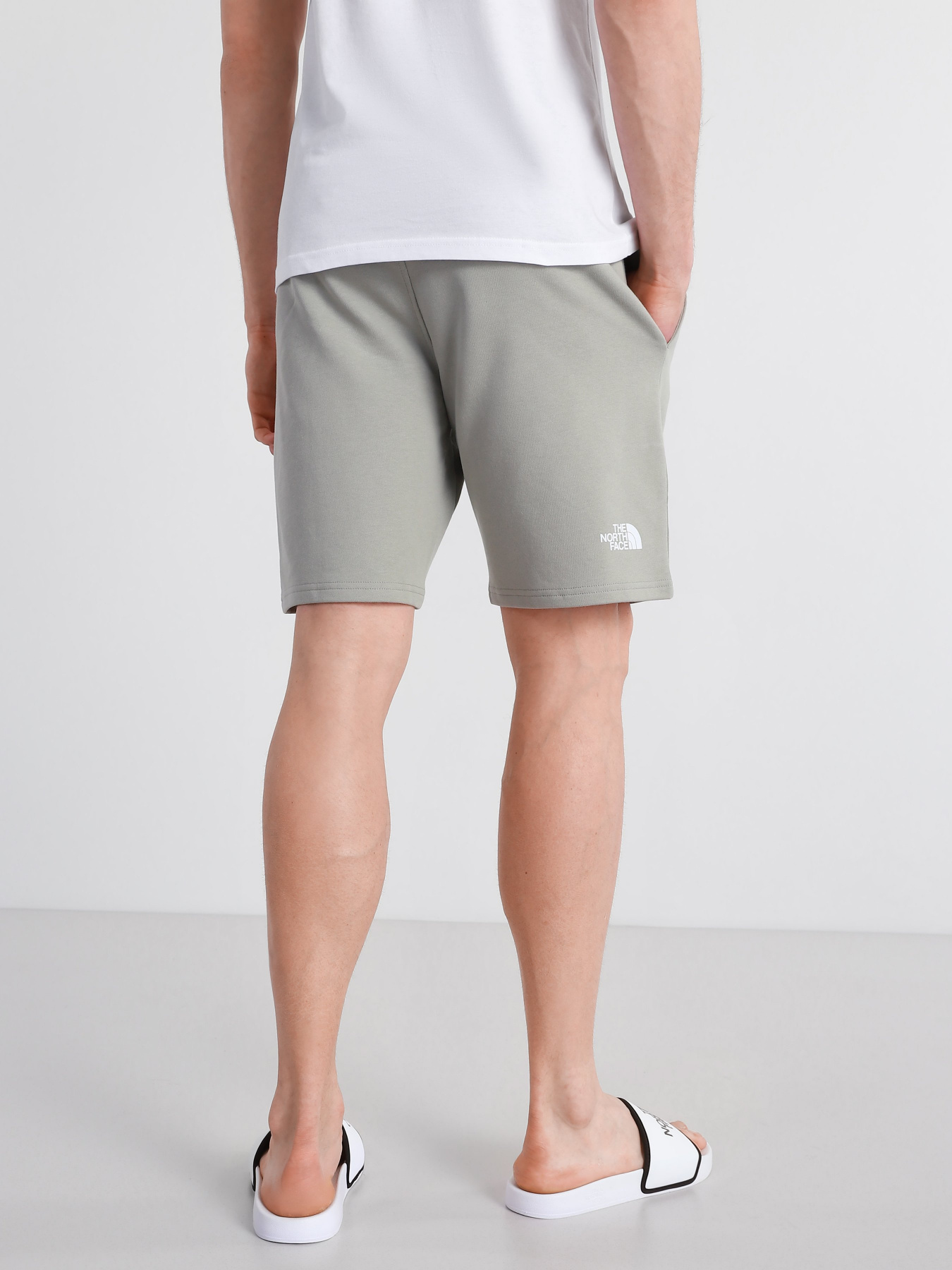 Шорты The North Face Standard модель NF0A3S4EHDF1 Фото