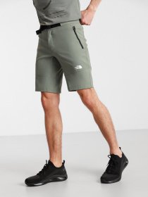 Шорти The North Face Lightning модель NF0A495OV381 Фото