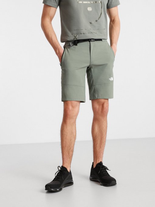 Шорты The North Face Lightning модель NF0A495OV381 Фото