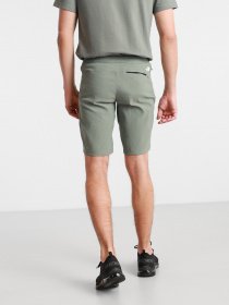 Шорты The North Face Lightning модель NF0A495OV381 Фото