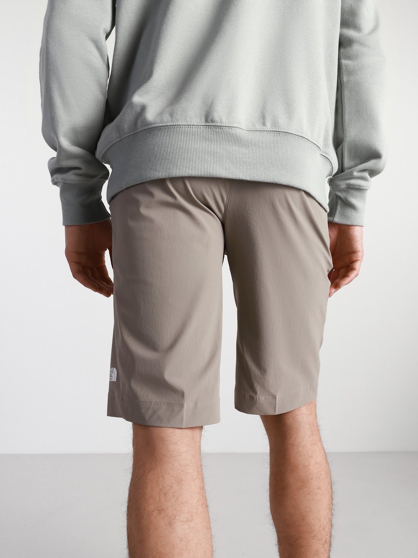 Шорти The North Face Speedlight модель NF00A8SFVQ81 Фото