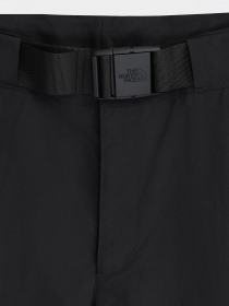 Повседневные штаны The North Face модель NF0A5IENJK31 Фото