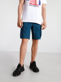 Шорти The North Face Anticline модель NF0A55B6BH71 Фото