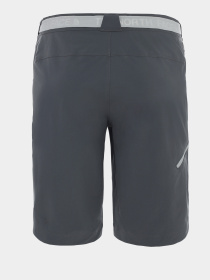 Шорти The North Face Speedlight модель NF00A8SKPX21 Фото