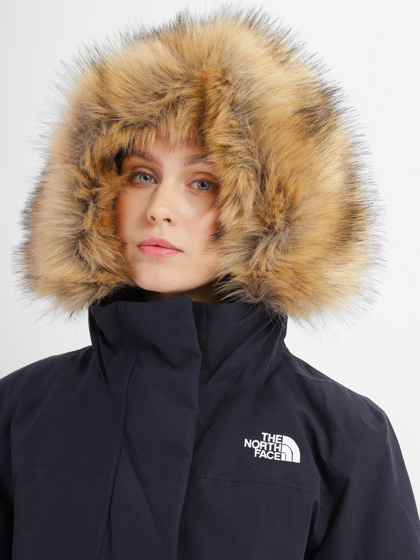 Парка The North Face Arctic модель NF0A4R2VRG11 Фото