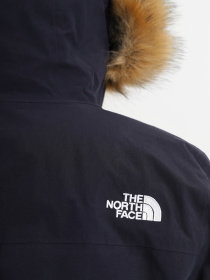 Парка The North Face Arctic модель NF0A4R2VRG11 Фото