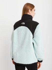 Кофта The North Face Bb Search & Rescue Oversize модель NF0A5ICF0UF1 Фото