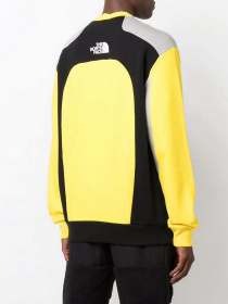 Свитшот The North Face Archive Cut & Sew модель NF0A55IARR81 Фото