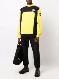 Свитшот The North Face Archive Cut & Sew модель NF0A55IARR81 Фото