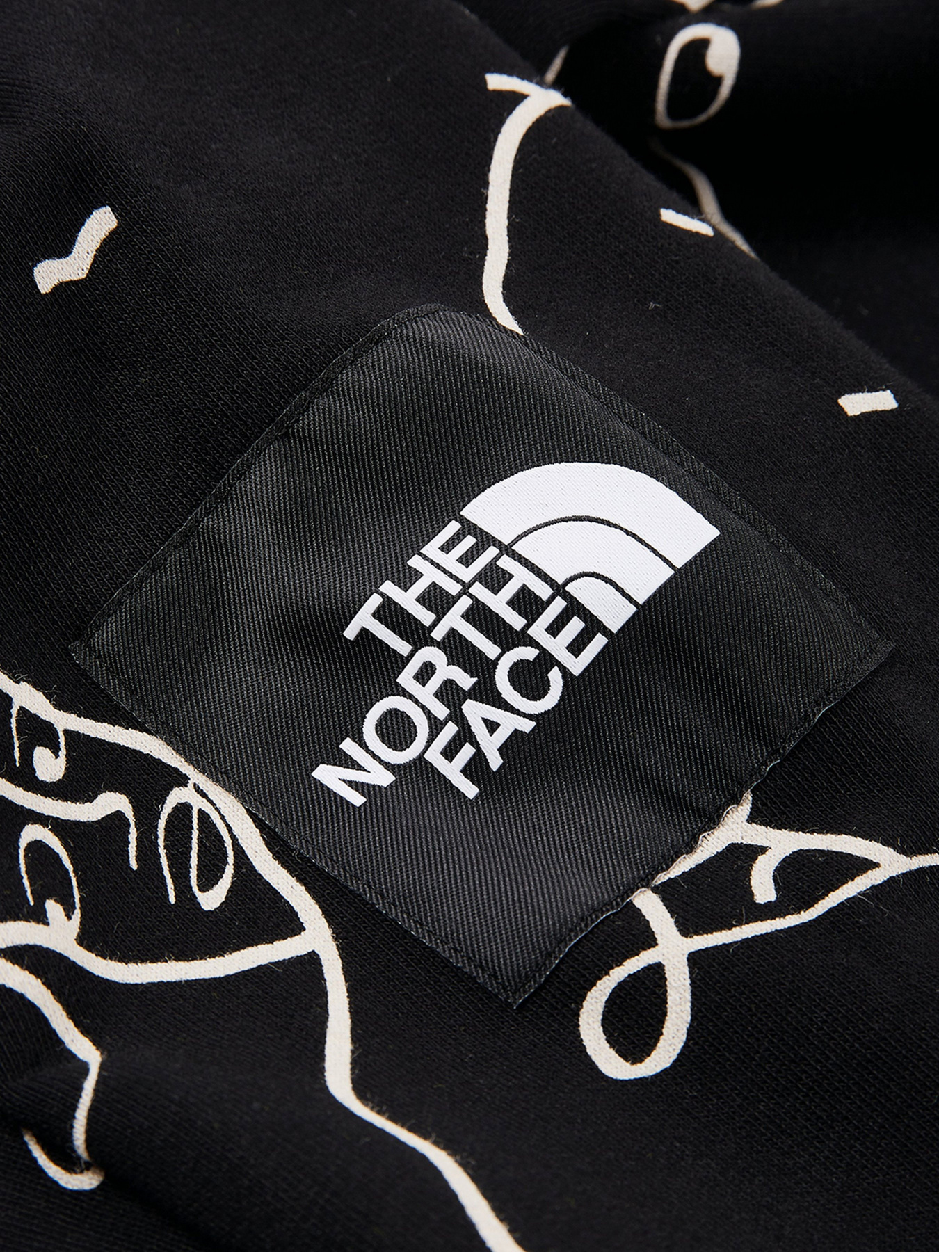 Худи The North Face Black Box Search & Rescue модель NF0A5IC83X21 Фото