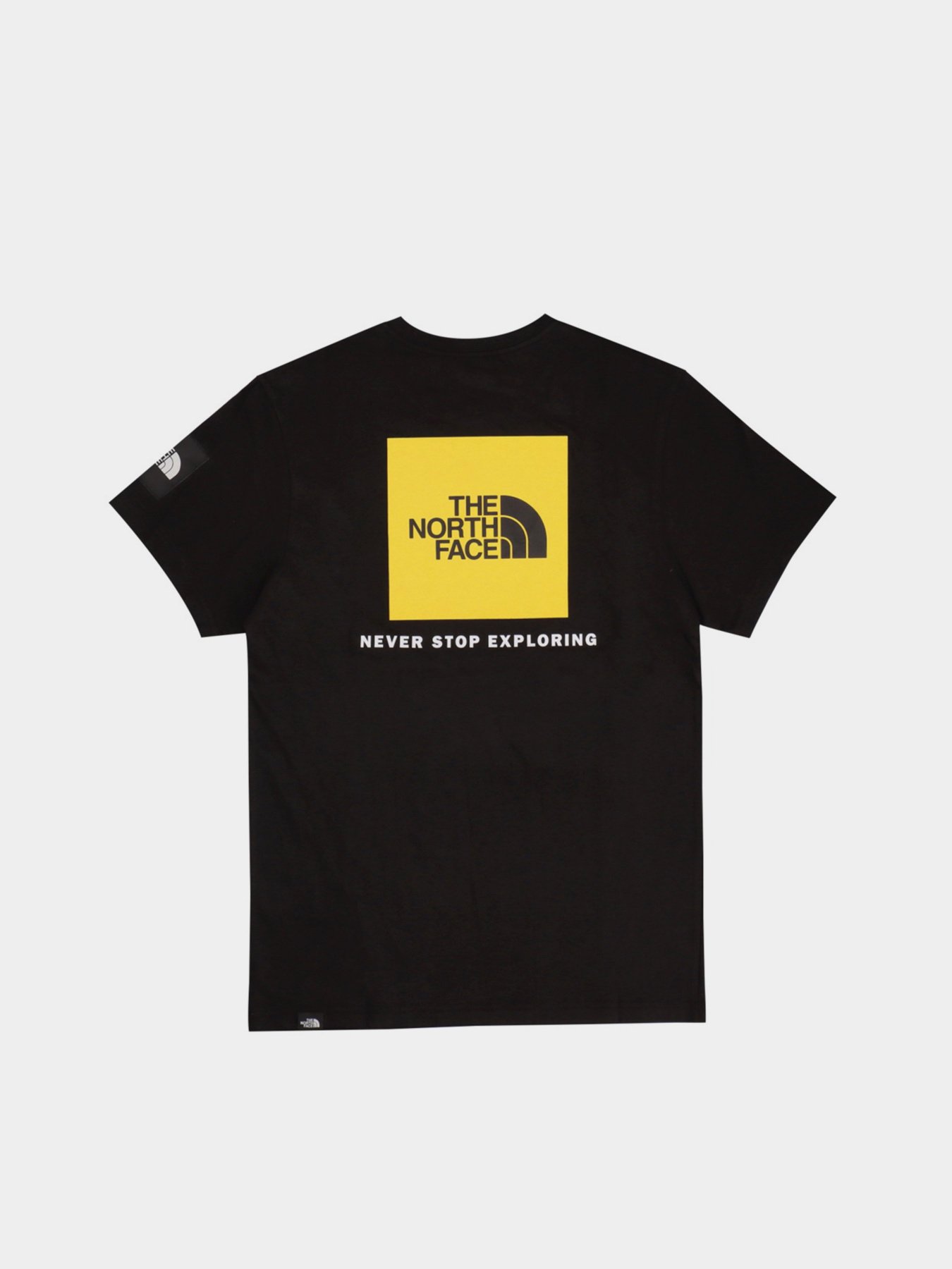 Футболки і поло The North Face NSE модель NF0A55IBJK31 Футболки і поло The North Face NSE модель NF0A55IBJK31 Фото