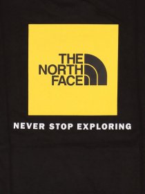 Футболки і поло The North Face NSE модель NF0A55IBJK31 Футболки і поло The North Face NSE модель NF0A55IBJK31 Фото