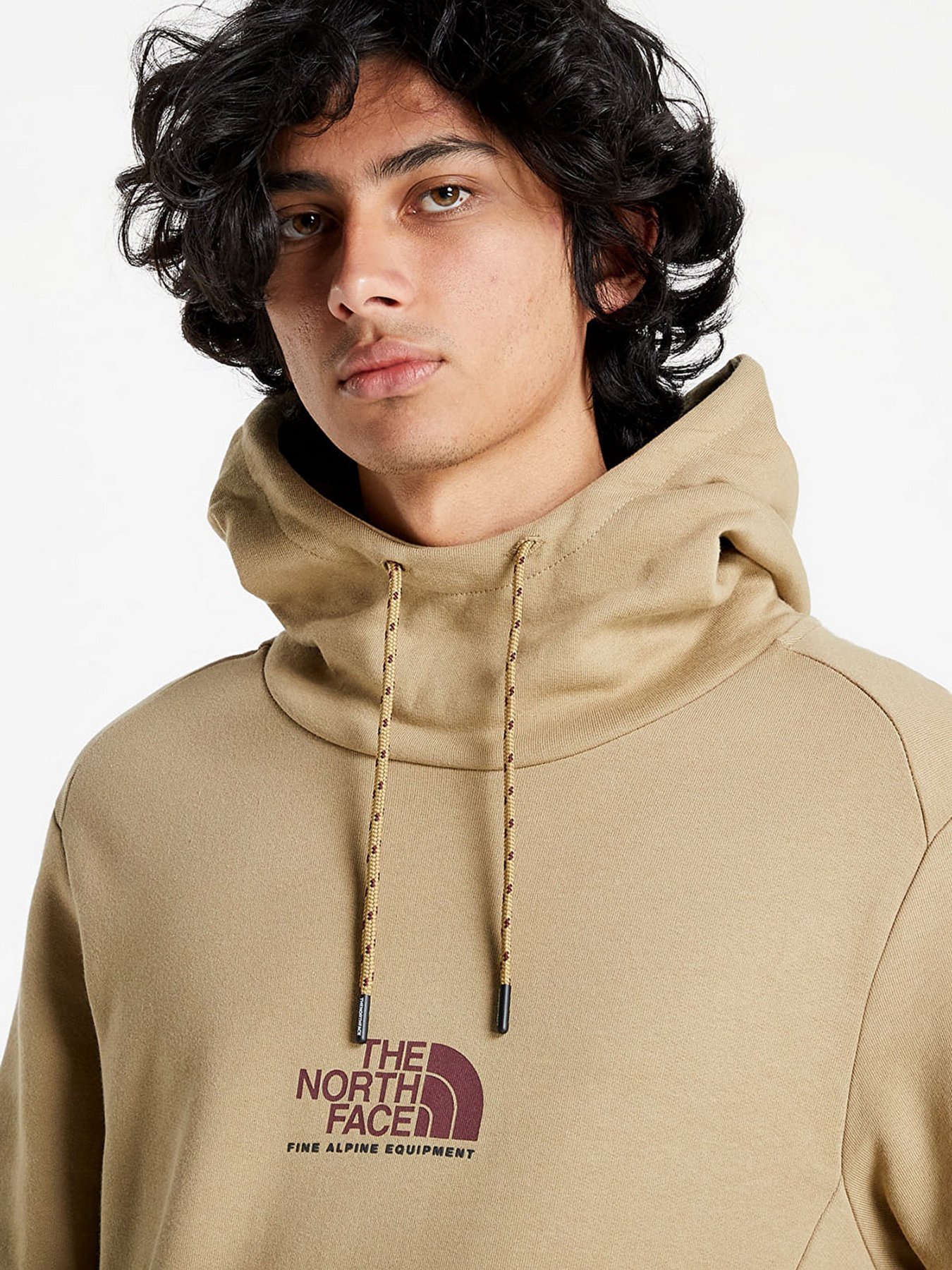 Худи The North Face Fine Alpine Popover модель NF0A3XY3PLX1 Фото