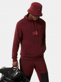 Худи The North Face модель NF0A3XY3D4S1 Фото