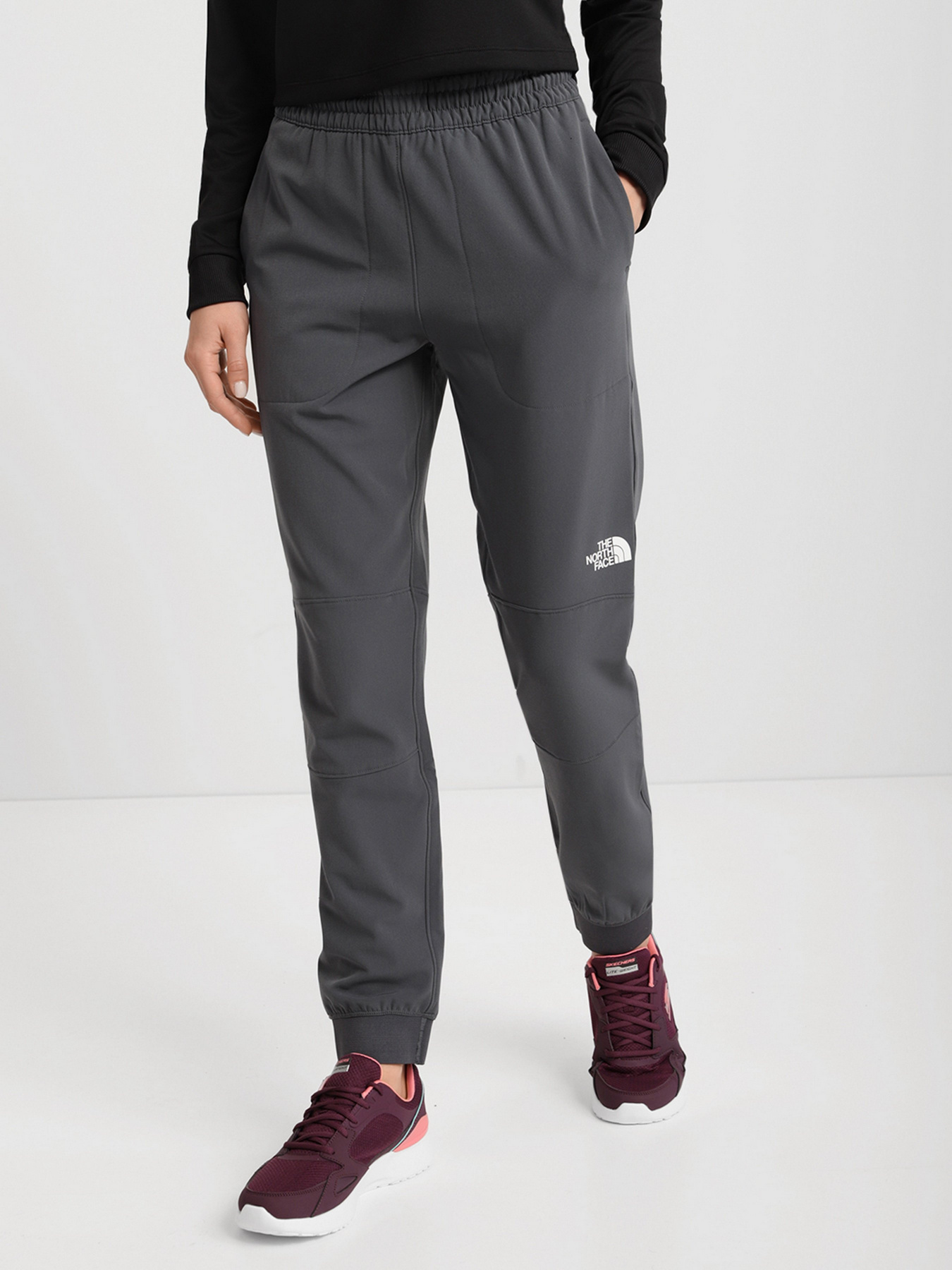 Штаны спортивные The North Face Tekware Fleece модель NF0A5GGM1741 Фото