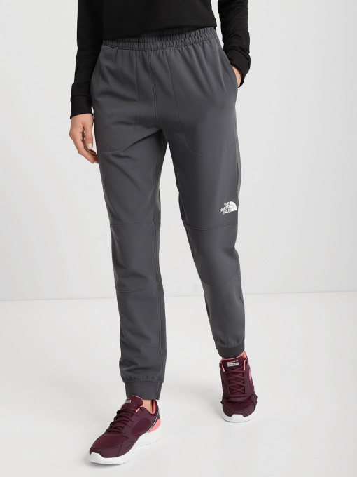 Штаны спортивные The North Face Tekware Fleece модель NF0A5GGM1741 Фото