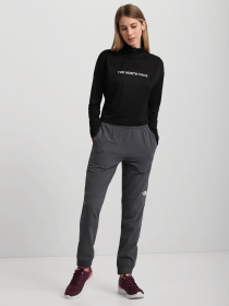 Спортивні штани The North Face Tekware Fleece модель NF0A5GGM1741 Фото