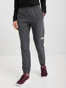 Спортивні штани The North Face Tekware Fleece модель NF0A5GGM1741 Фото