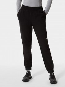 Штаны спортивные The North Face Tekware Fleece модель NF0A5GGMJK31 Фото