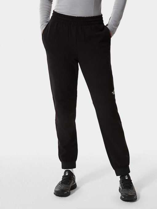 Штаны спортивные The North Face Tekware Fleece модель NF0A5GGMJK31 Фото