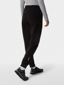 Спортивні штани The North Face Tekware Fleece модель NF0A5GGMJK31 Фото