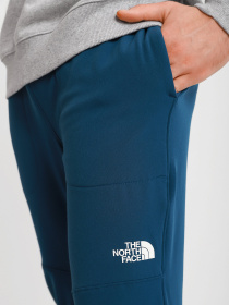 Штаны спортивные The North Face Tekware® модель NF0A5GFMBH71 Фото
