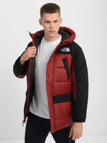 Парка The North Face Himalayan Insulated модель NF0A4QZ5CZD1 Фото