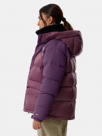 Пуховик The North Face HMLYN Down Parka модель NF0A4R2W18S1 Фото